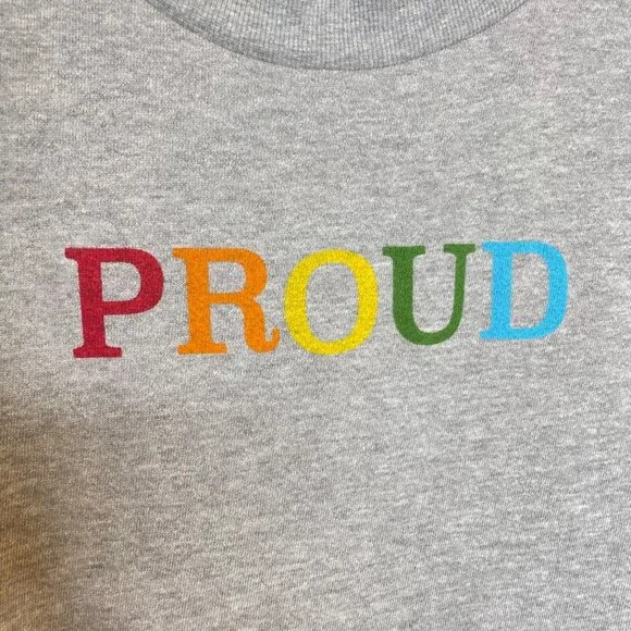 ModCloth Proud Graphic Heathered Grey Sweatshirt, M - Picture 5 of 7